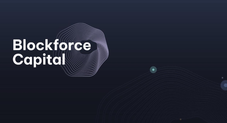 Разоблачение Blockforce Capital