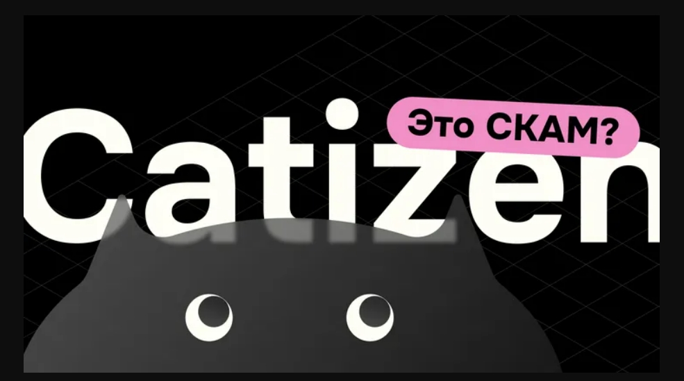 Разоблачение Catizen