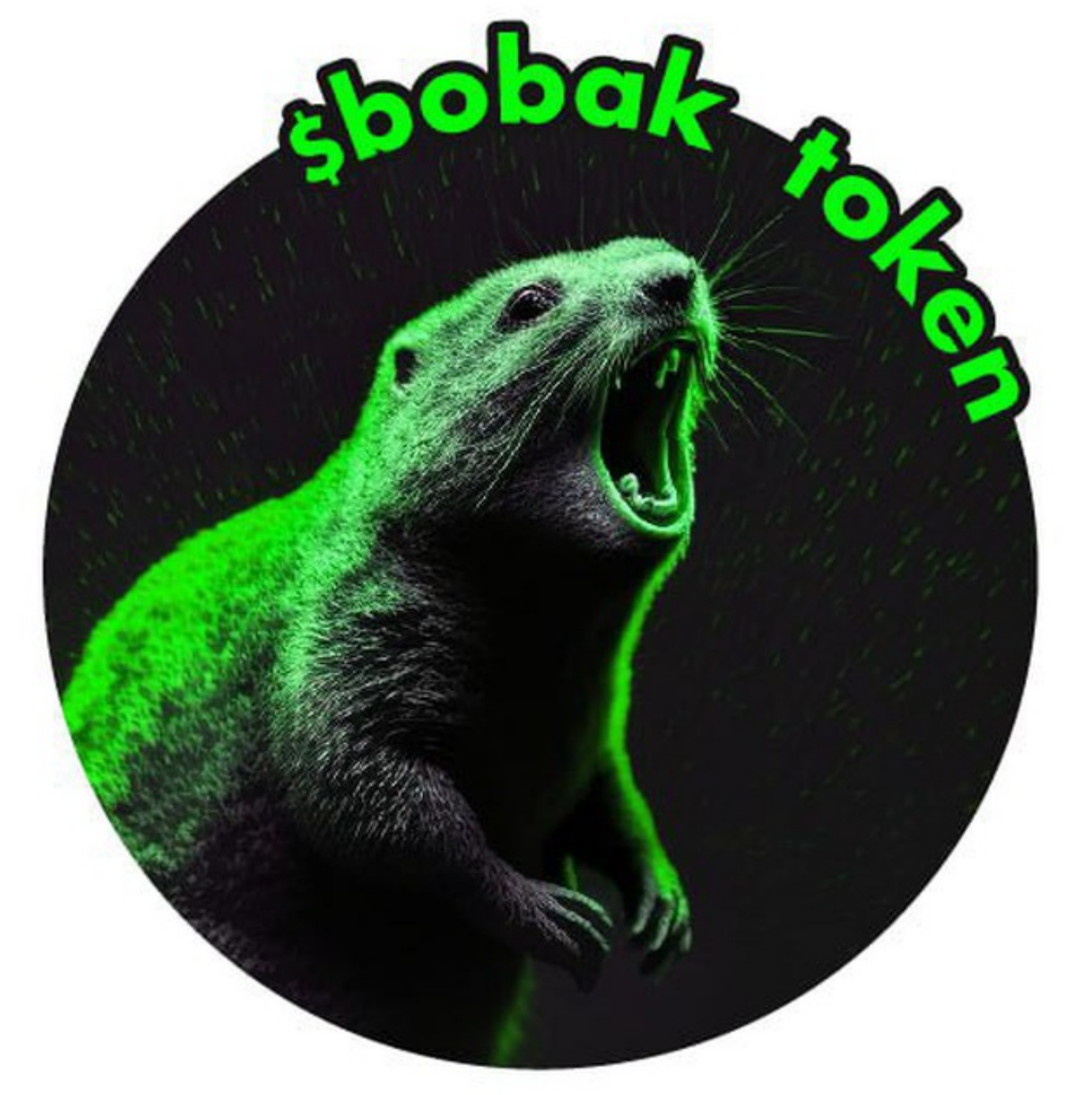 bobak bot обман