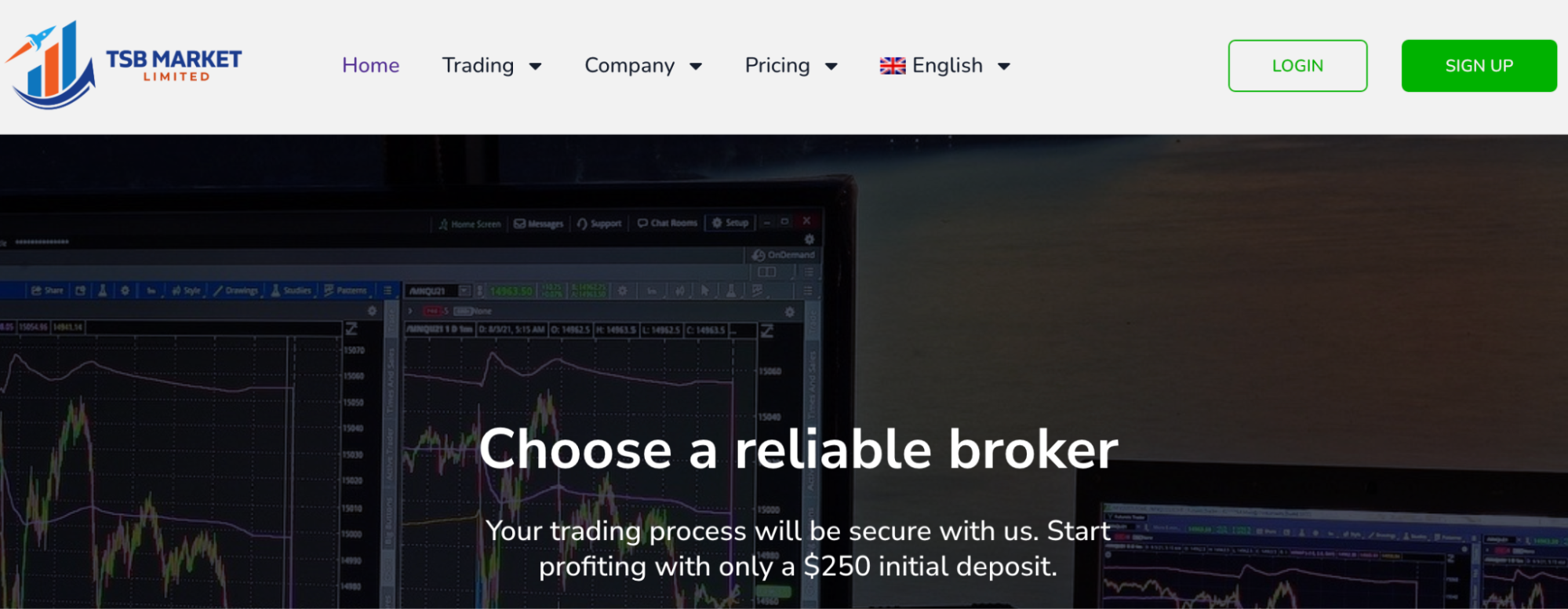 обзор TSB Market LTD